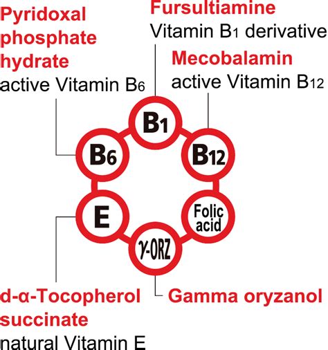 發現合利他命B群的秘密！如何迅速解決疲勞與酸痛問題？