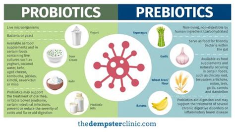 皮膚過敏益生菌推薦ptt—哪款益生菌能讓過敏說掰掰？